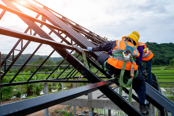 Best Flat Roof Repair Services  in Colchester, IL