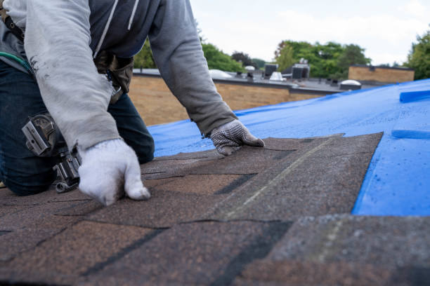 Best Roof Gutter Cleaning  in Colchester, IL