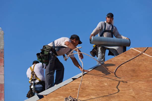 Best Metal Roofing Contractor  in Colchester, IL