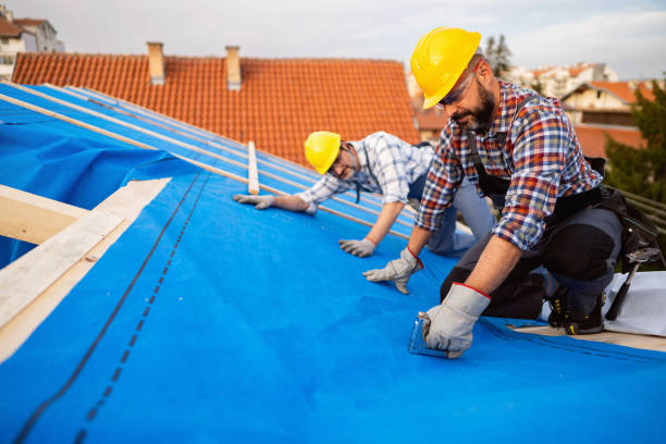 Best New Roof Installation  in Colchester, IL