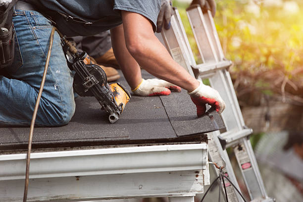 Best Gutter Installation and Roofing  in Colchester, IL